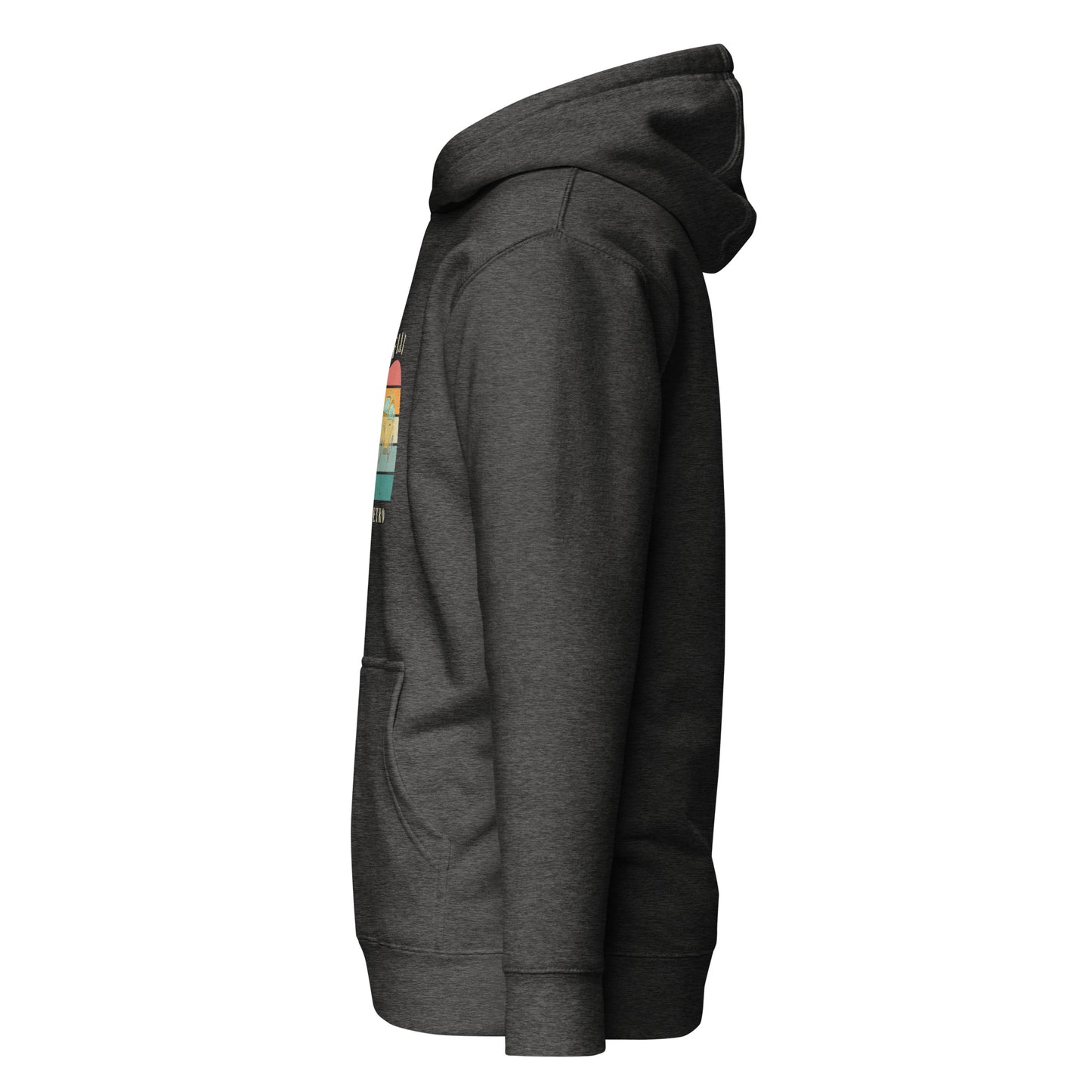 Retro Edition – Classic Streetwear Hoodie