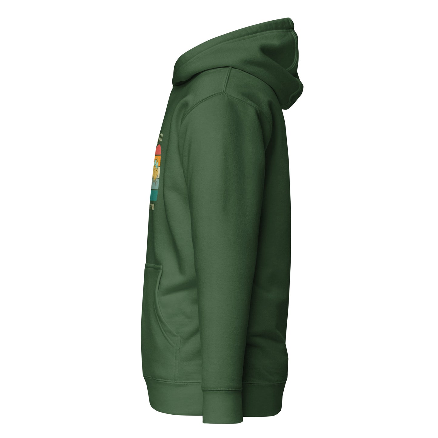 Retro Edition – Classic Streetwear Hoodie
