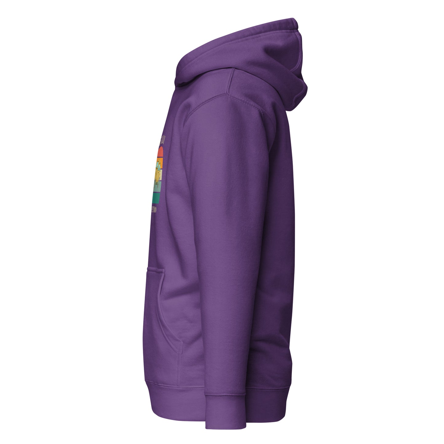 Retro Edition – Classic Streetwear Hoodie